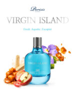 VIRGIN ISLAND - BORN IN FRANCE 100ML - Image 3